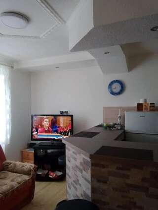 Апартаменты Apartman Nada Жабляк Апартаменты с 2 спальнями-8
